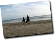 Beaches in Wexford