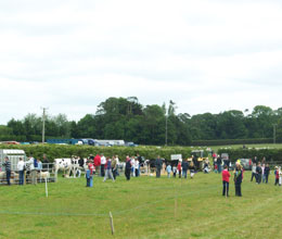 gorey agricultural show gorey agricultural show