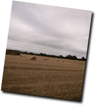 Hay Fields In Wexford Hay Fields In Wexford