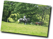 Horseriding Horseriding