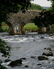 river fishing river fishing