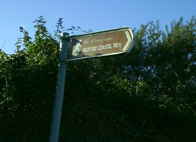 things to do in north wexford